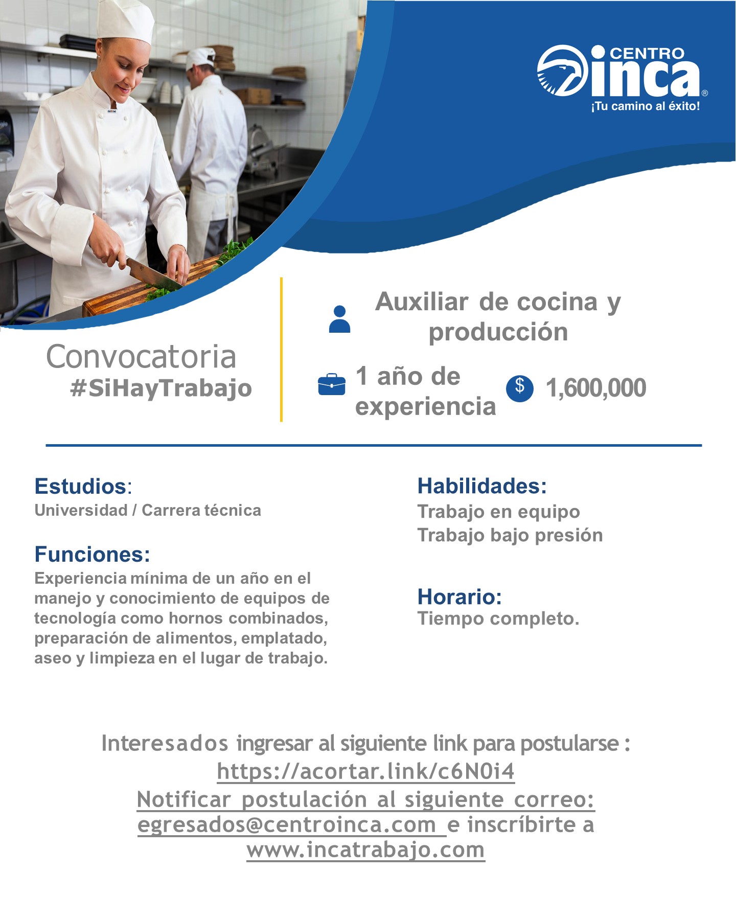 Diapositiva13