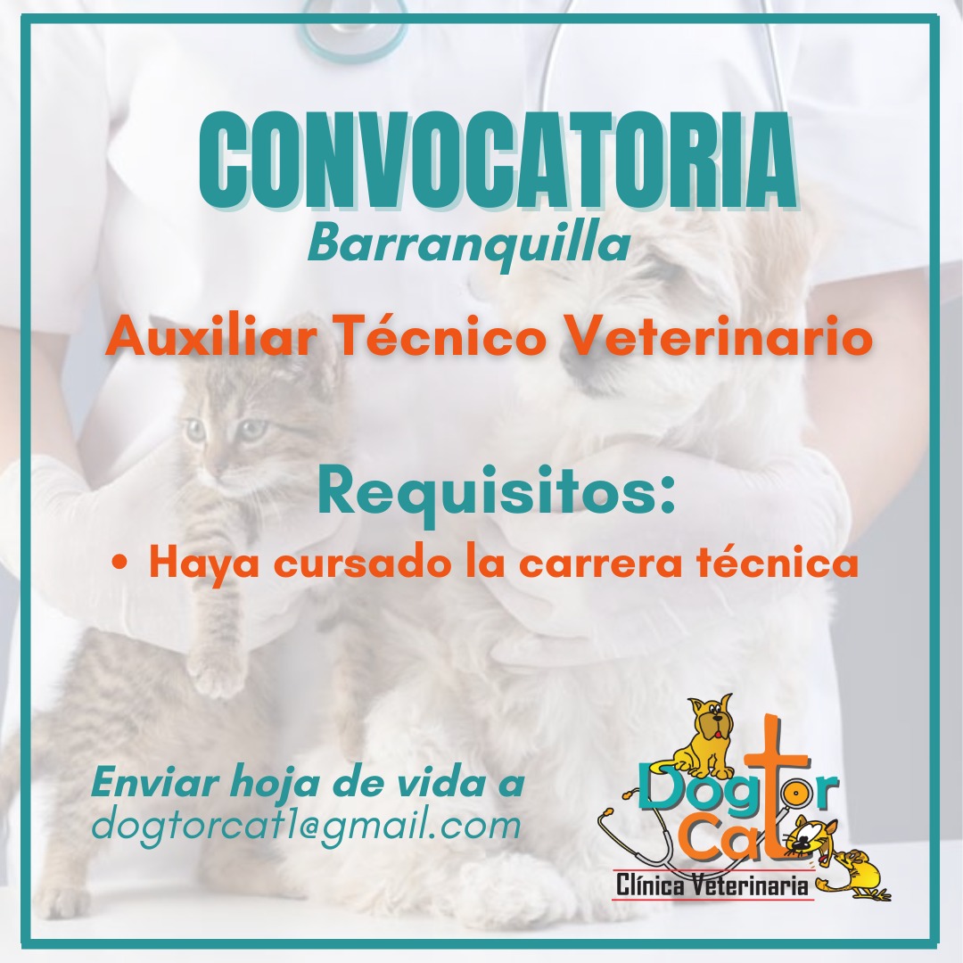 Auxiliar t%c3%a9cnico veterinario